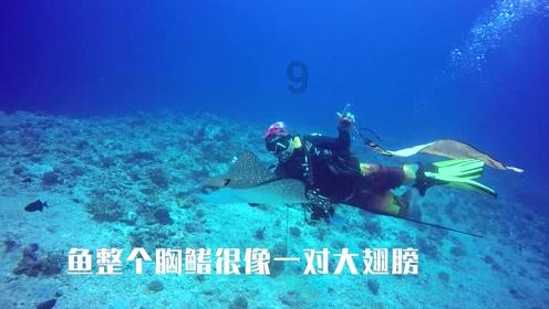 日本此前9届亚洲杯仅输6场,上次小组输球是36年前