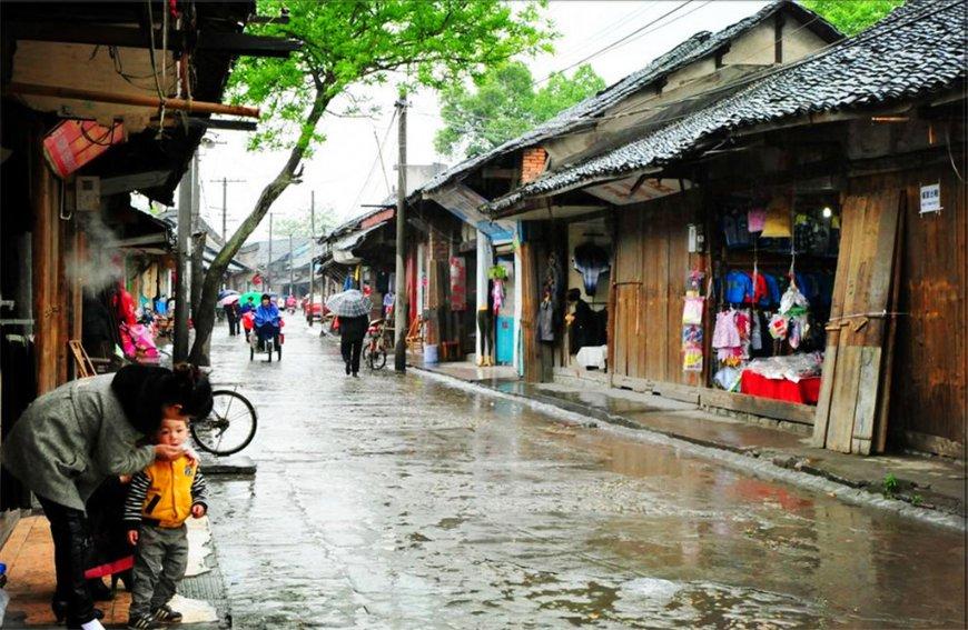 加速A0级市场油转电,比亚迪海豚蝉联A0级年销冠军