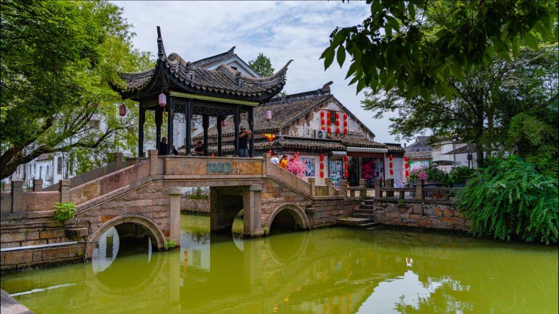 男子把“绿豆”装塑料瓶里,朋友们都嘲笑他,7天后却花钱来买!